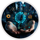 Capabilities & Transformation