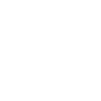 Incident & Issue Management