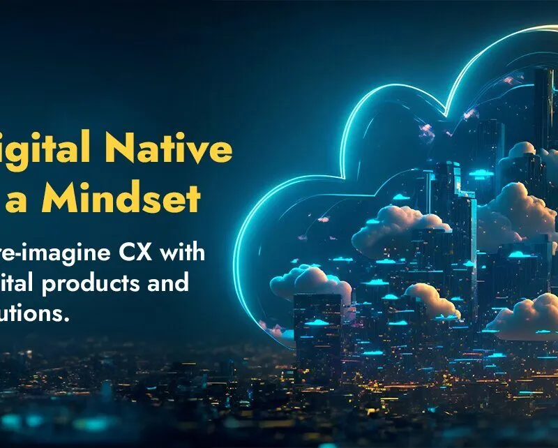 Digital Native NewVision Software